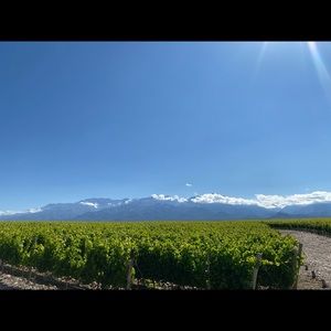 Meet your Posher, Paul